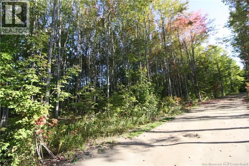 Lot 20-11 Michael Joo Road, Fords Mills, New Brunswick  E4T 0H1 - Photo 22 - NB126600
