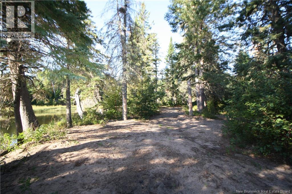 Lot 20-11 Michael Joo Road, Fords Mills, New Brunswick  E4T 0H1 - Photo 23 - NB126600