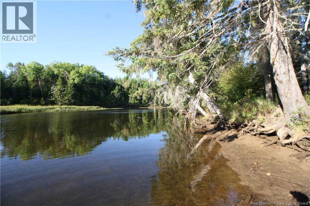 Lot 20-11 Michael Joo Road, Fords Mills, New Brunswick  E4T 0H1 - Photo 27 - NB126600