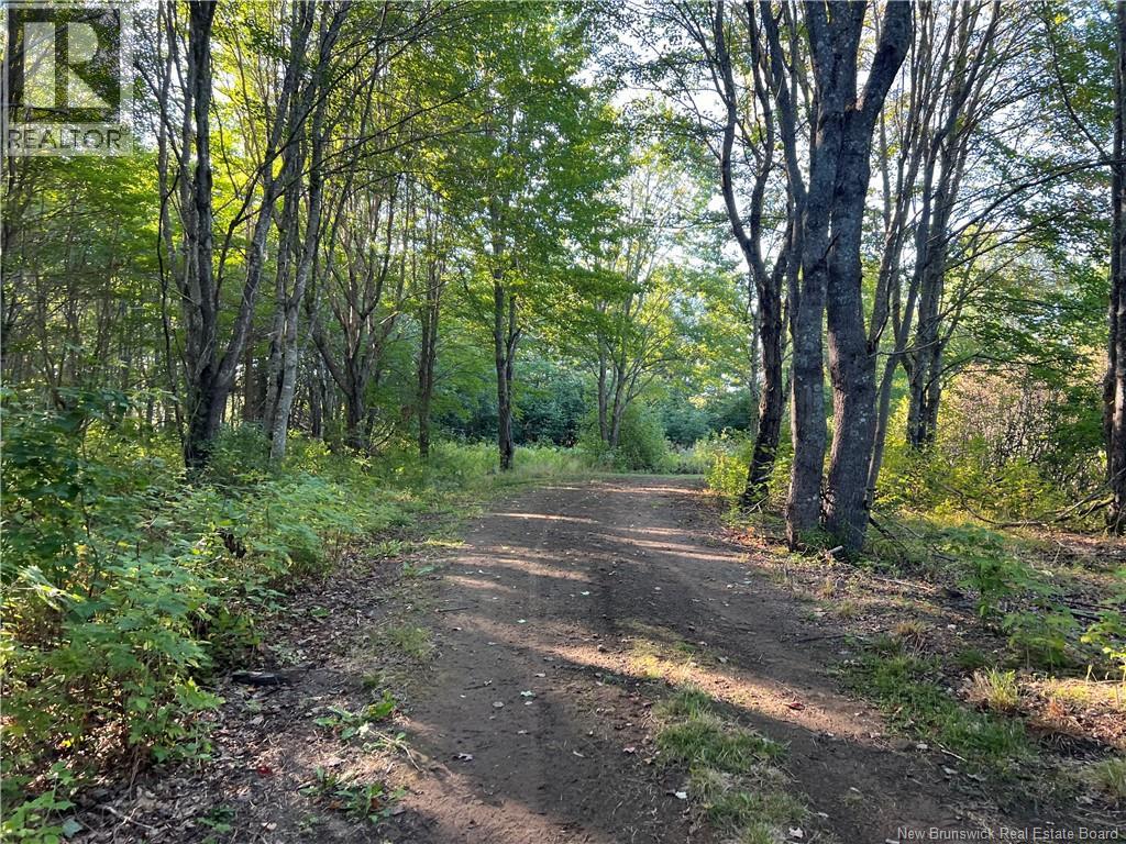 Lot 20-11 Michael Joo Road, Fords Mills, New Brunswick  E4T 0H1 - Photo 4 - NB126600