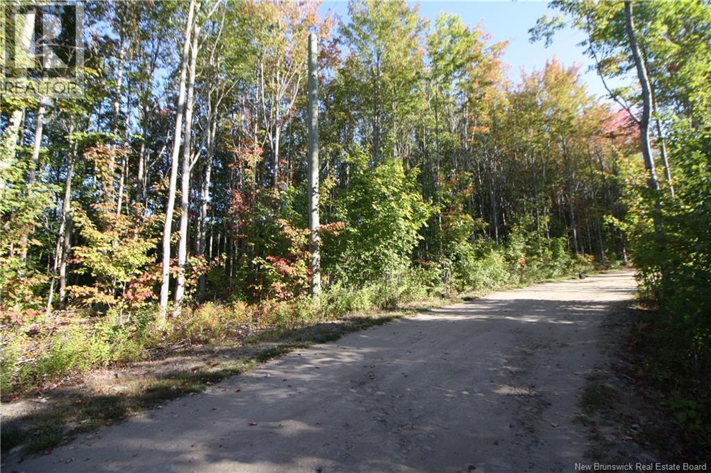 Lot 20-11 Michael Joo Road, Fords Mills, New Brunswick  E4T 0H1 - Photo 5 - NB126600