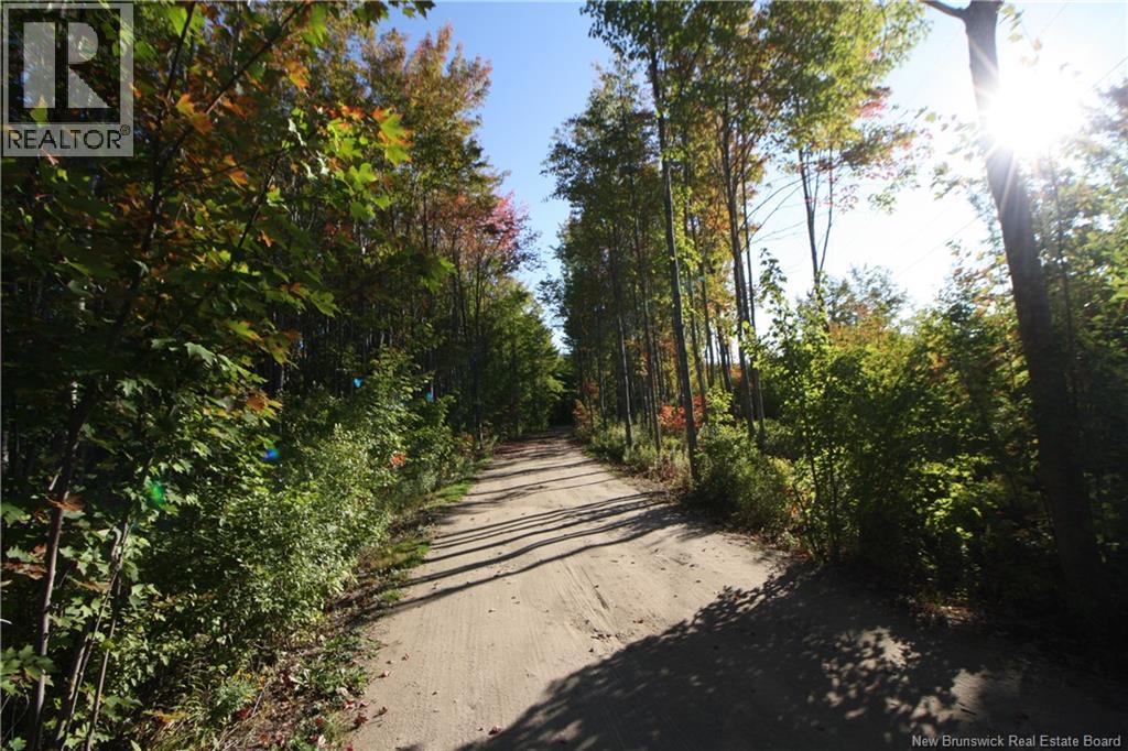Lot 20-11 Michael Joo Road, Fords Mills, New Brunswick  E4T 0H1 - Photo 6 - NB126600