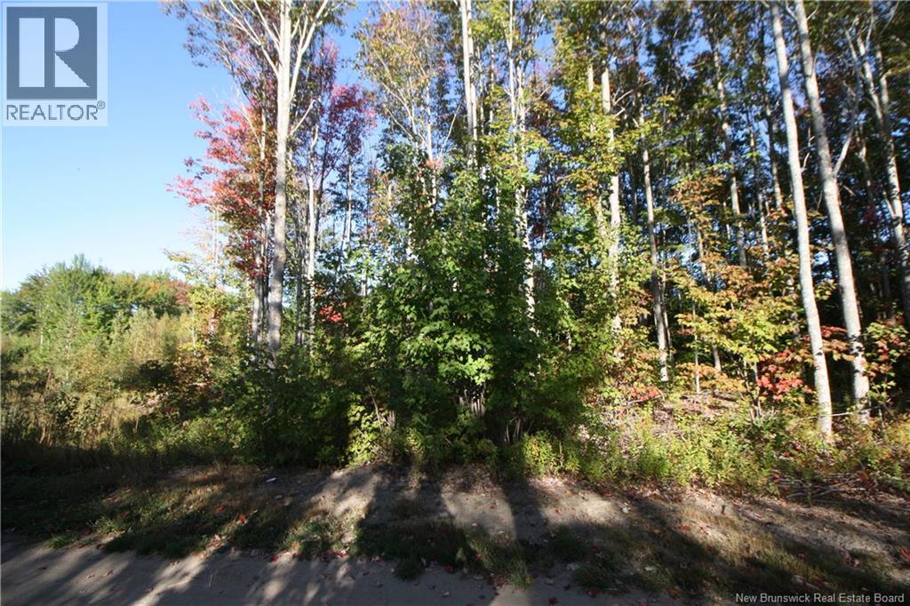 Lot 20-11 Michael Joo Road, Fords Mills, New Brunswick  E4T 0H1 - Photo 7 - NB126600