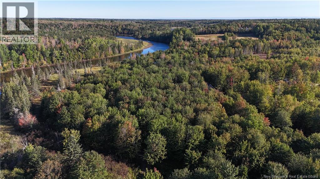 Lot 20-11 Michael Joo Road, Fords Mills, New Brunswick  E4T 0H1 - Photo 8 - NB126600