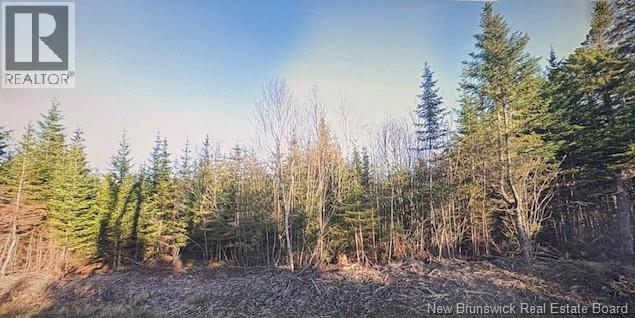 0 Haggertys Cove Road, New River Beach, New Brunswick