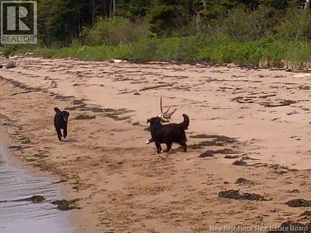 0 Haggertys Cove Road, New River Beach, New Brunswick  E5J 1J5 - Photo 3 - NB126159