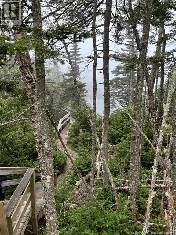 0 Haggertys Cove Road, New River Beach, New Brunswick  E5J 1J5 - Photo 5 - NB126159