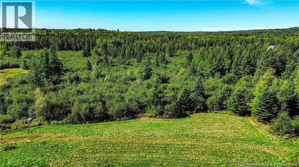 Lot Zack Road, Lutes Mountain, New Brunswick  E1G 2T6 - Photo 5 - NB126643