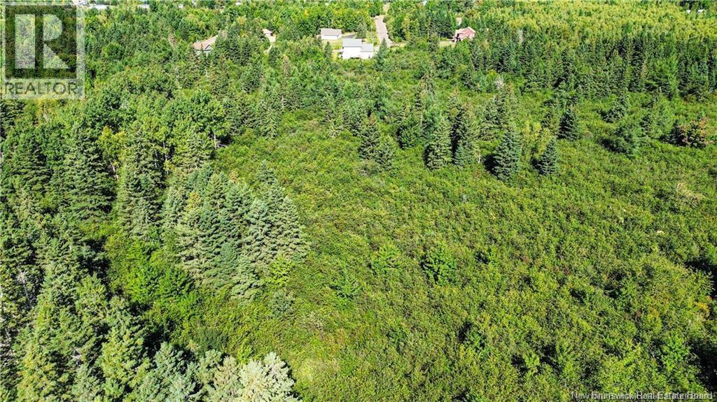 Lot Zack Road, Lutes Mountain, New Brunswick  E1G 2T6 - Photo 7 - NB126643
