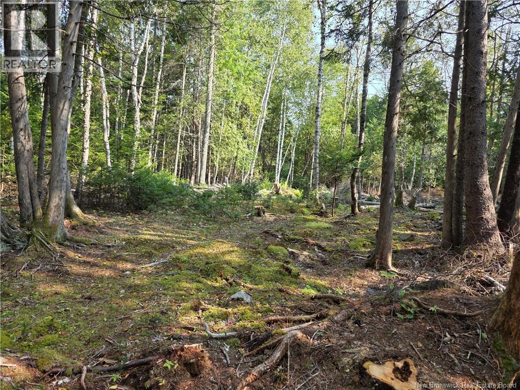 Lot 1 Rankine Road, Bayside, New Brunswick