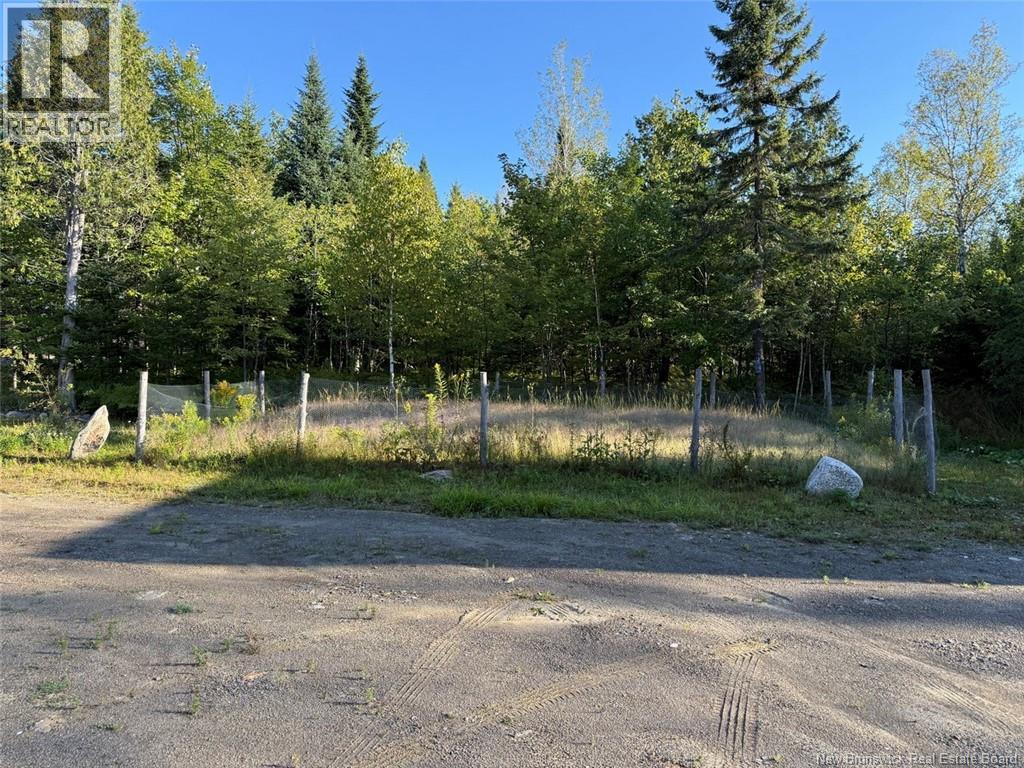 1319 Martin Road, Sainte-Anne-De-Madawaska, New Brunswick  E7E 1P8 - Photo 22 - NB125978