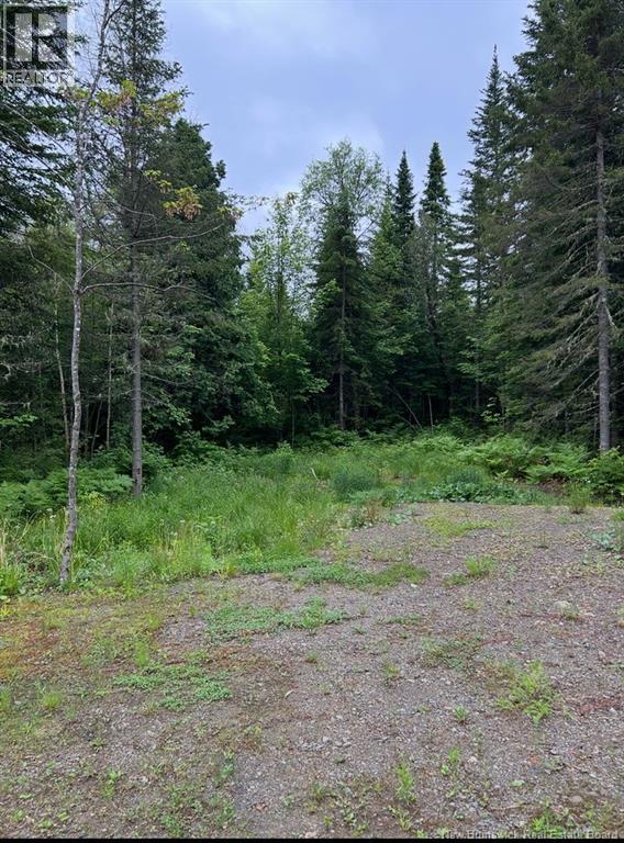 1319 Martin Road, Sainte-Anne-De-Madawaska, New Brunswick  E7E 1P8 - Photo 23 - NB125978