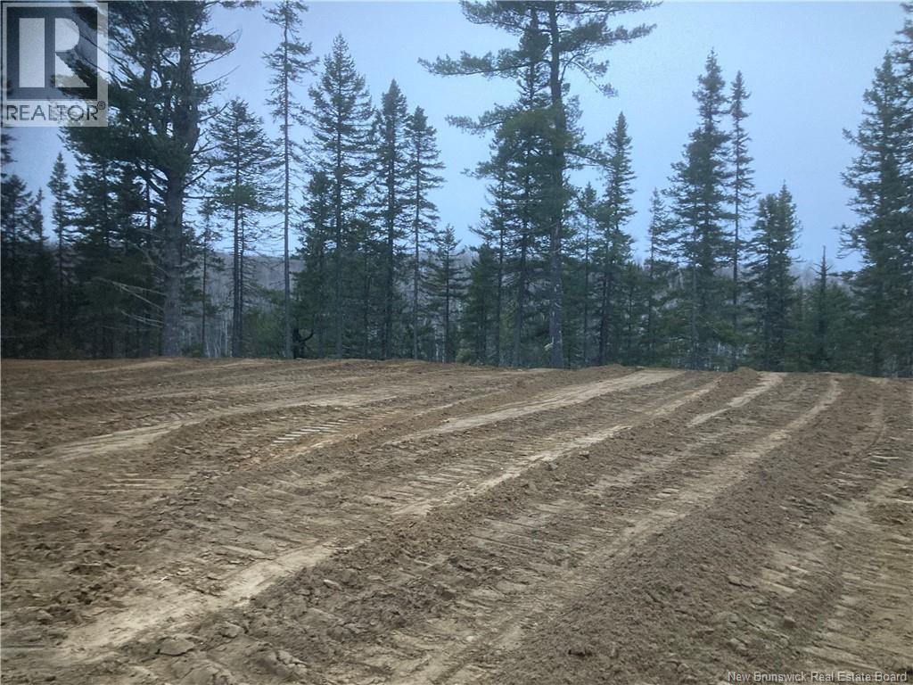 Lot 2016-9 Portage Road, Nepisiguit Falls, New Brunswick  E2A 4Y7 - Photo 1 - NB126702