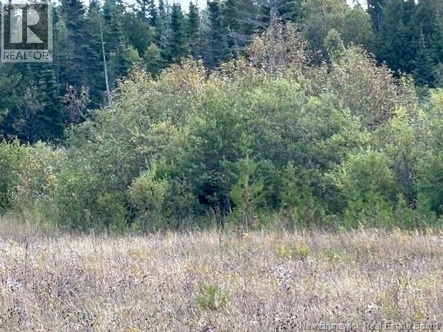 0 Latimore Lake Road, Saint John, New Brunswick  E2N 1X3 - Photo 10 - NB126714