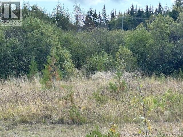 0 Latimore Lake Road, Saint John, New Brunswick  E2N 1X3 - Photo 11 - NB126714
