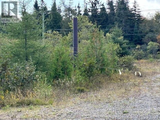 0 Latimore Lake Road, Saint John, New Brunswick  E2N 1X3 - Photo 13 - NB126714