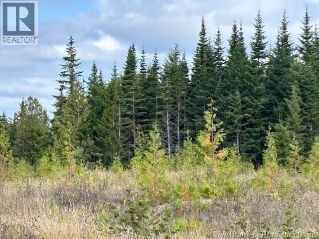 0 Latimore Lake Road, Saint John, New Brunswick  E2N 1X3 - Photo 8 - NB126714