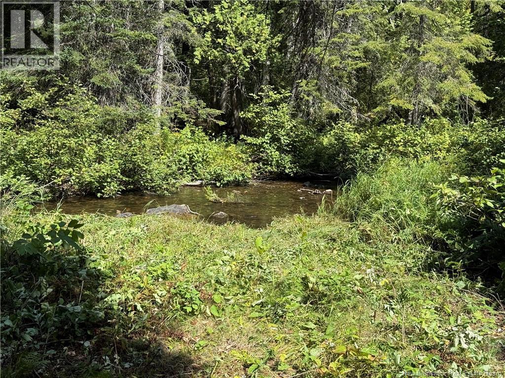 Camp 1.15 Acres Portage Brooke, Dry Gulch, New Brunswick  E3B 5H1 - Photo 17 - NB126695