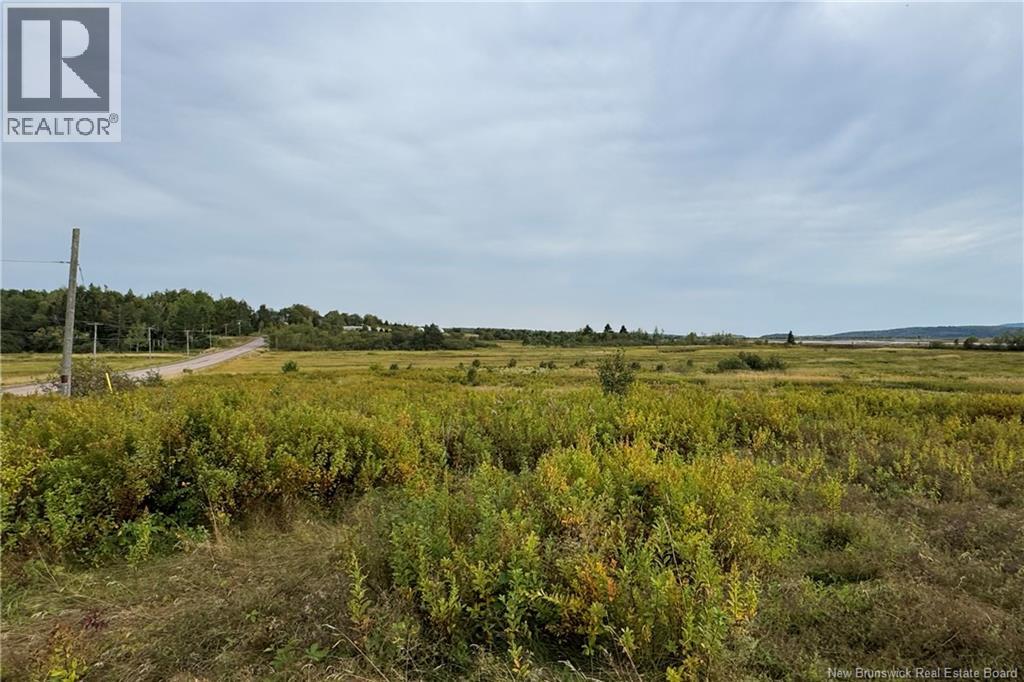 Lot Route 106, Middleton, New Brunswick E4K 3H2 - Photo 10 - NB126754