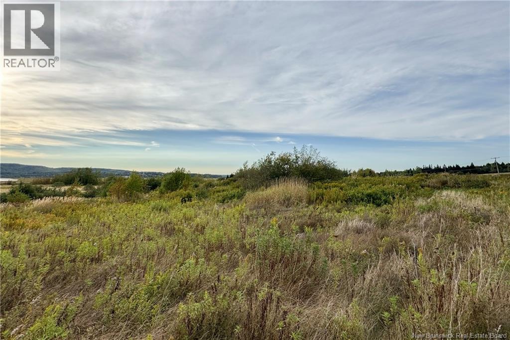 Lot Route 106, Middleton, New Brunswick E4K 3H2 - Photo 3 - NB126754