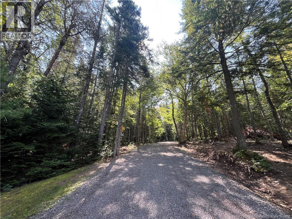 3190 Route 510, Browns Yard, New Brunswick  E4T 1W6 - Photo 47 - NB126745