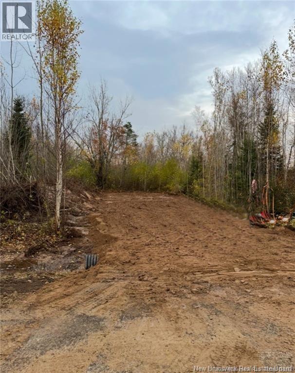 Lot 21-1 Saint Augustin, Adamsville, New Brunswick  E4T 2E9 - Photo 5 - NB126764