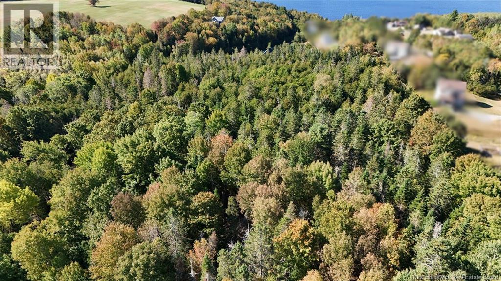 Lot Jackson Road, Keswick Ridge, New Brunswick  E6L 1V6 - Photo 1 - NB126782