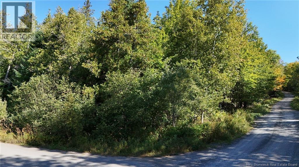 Lot Jackson Road, Keswick Ridge, New Brunswick  E6L 1V6 - Photo 10 - NB126782