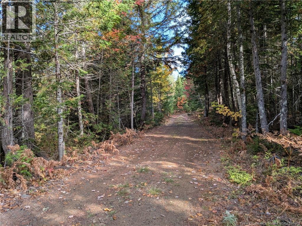 00 Highway 11, Redmondville, New Brunswick  E1N 5C5 - Photo 13 - NB126776