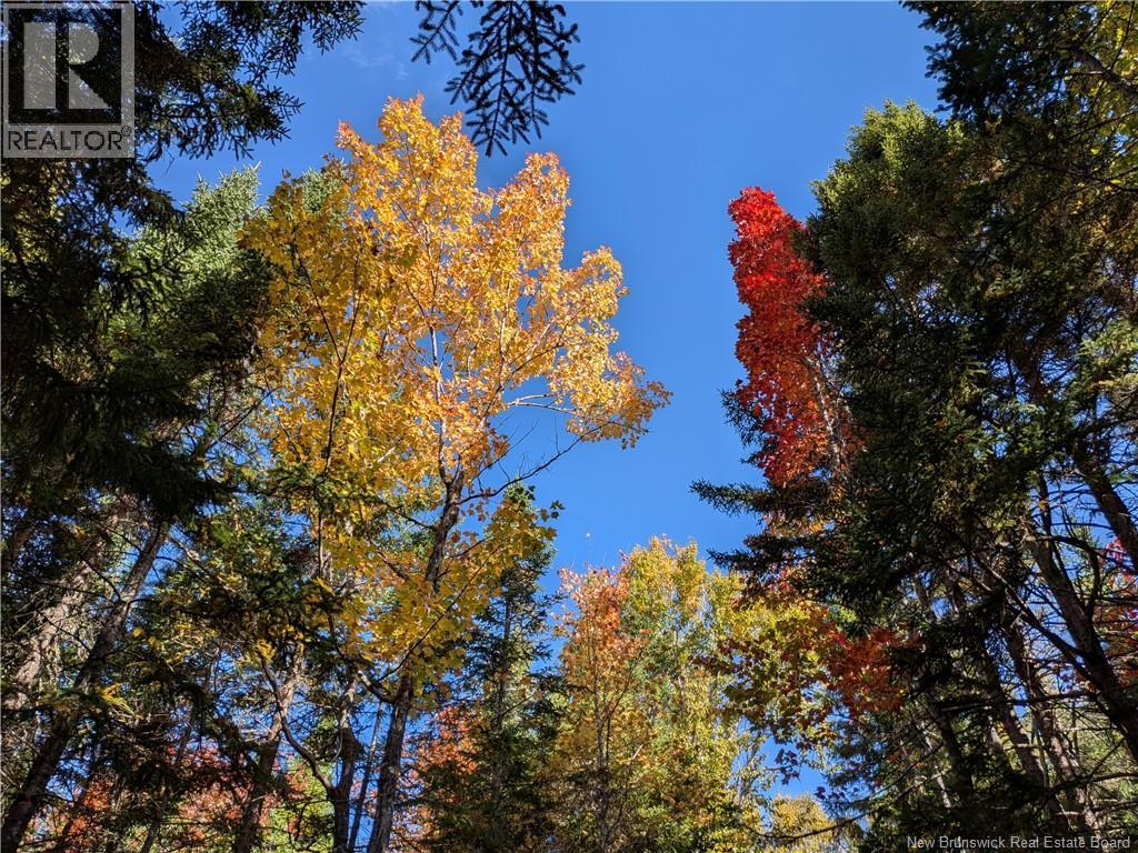 00 Highway 11, Redmondville, New Brunswick  E1N 5C5 - Photo 14 - NB126776