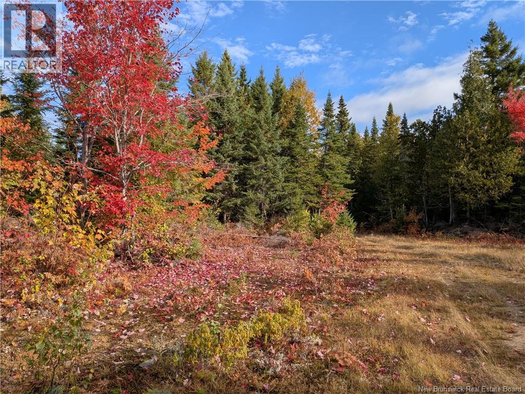 00 Highway 11, Redmondville, New Brunswick  E1N 5C5 - Photo 15 - NB126776