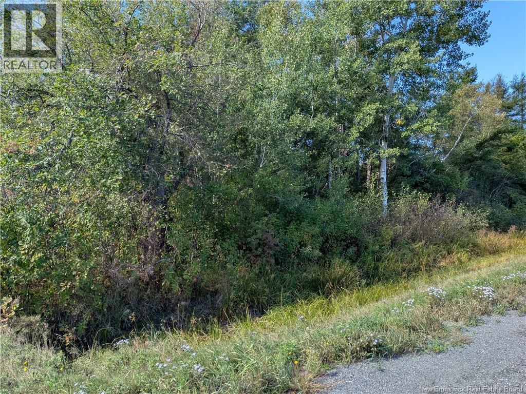 00 Highway 11, Redmondville, New Brunswick  E1N 5C5 - Photo 16 - NB126776