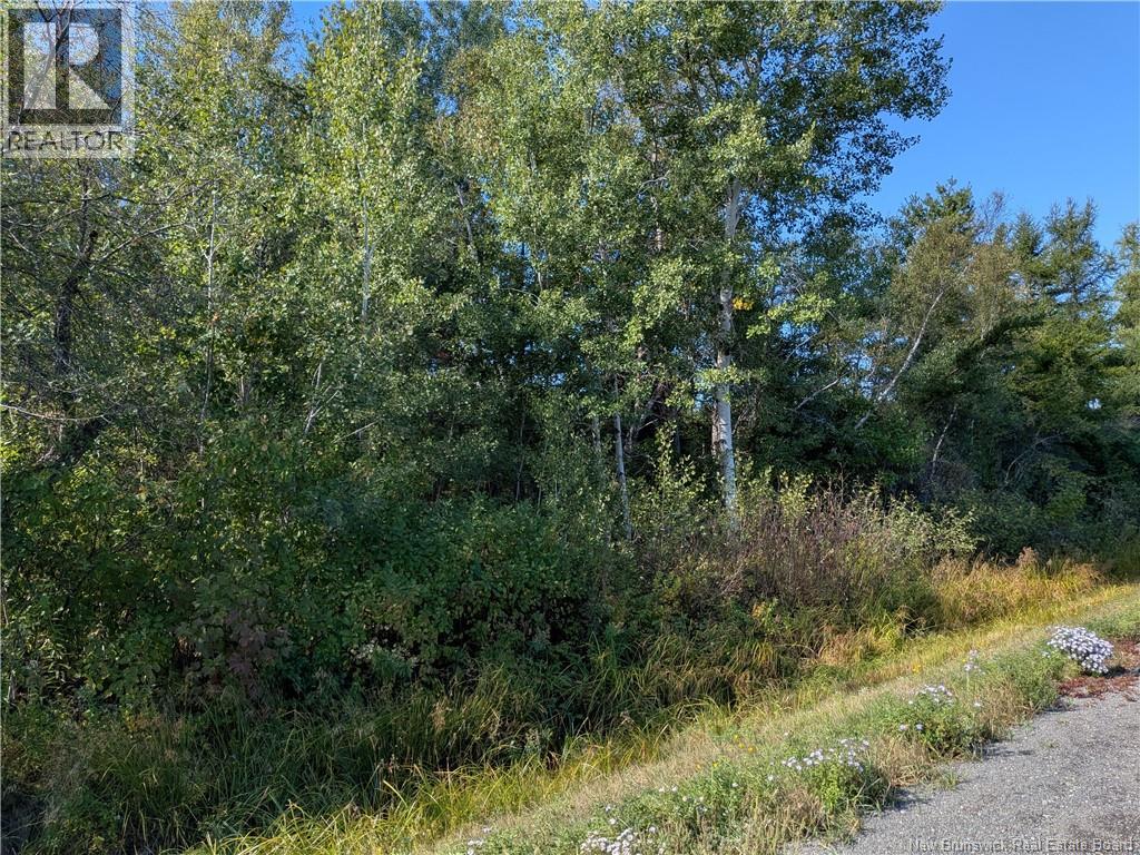 00 Highway 11, Redmondville, New Brunswick  E1N 5C5 - Photo 20 - NB126776