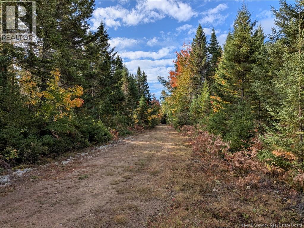 00 Highway 11, Redmondville, New Brunswick  E1N 5C5 - Photo 9 - NB126776