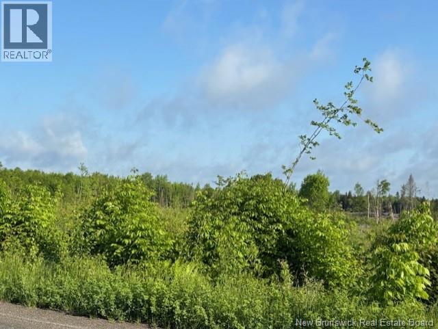 00000 Upper Tower Hill Road, Tower Hill, New Brunswick  E5A 2P3 - Photo 2 - NB126812