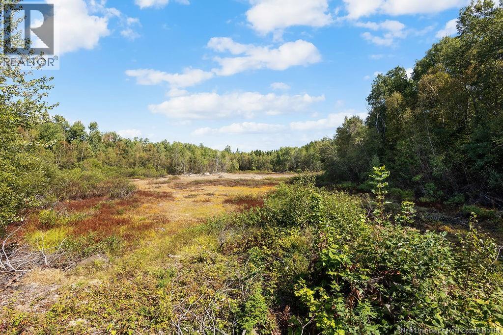 10543 126 Route, Acadie Siding, New Brunswick  E4Y 2L3 - Photo 33 - NB126388