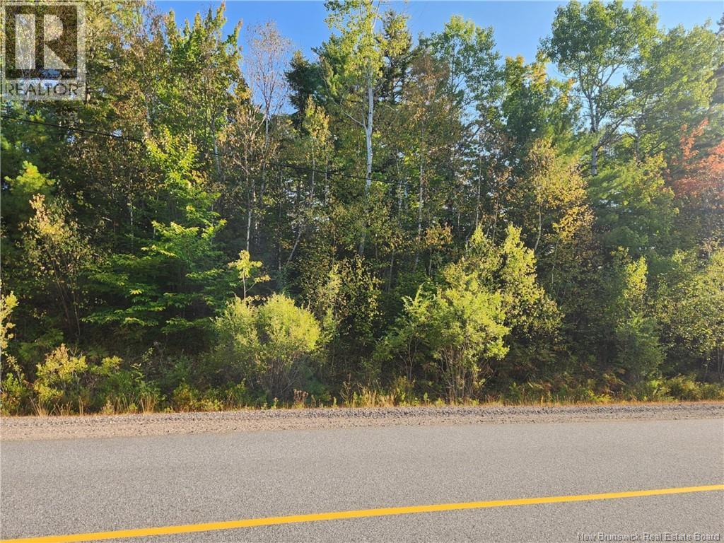 Route 101, Clarendon, New Brunswick  E5K 4C3 - Photo 5 - NB126795