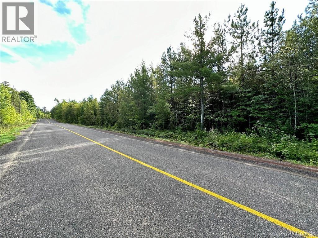 6935465 Lakeview Road, Cambridge-Narrows, New Brunswick  E4C 1M6 - Photo 10 - NB126849
