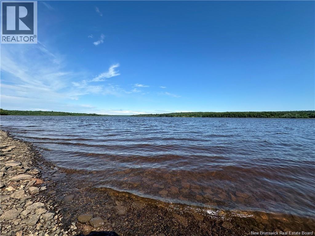 6935465 Lakeview Road, Cambridge-Narrows, New Brunswick  E4C 1M6 - Photo 2 - NB126849