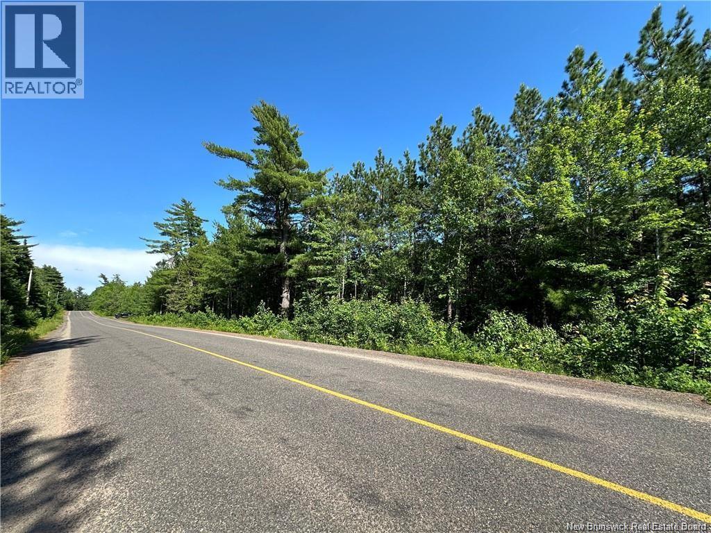 6935465 Lakeview Road, Cambridge-Narrows, New Brunswick  E4C 1M6 - Photo 7 - NB126849
