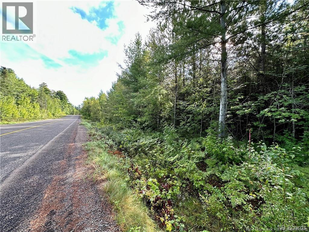 6935465 Lakeview Road, Cambridge-Narrows, New Brunswick  E4C 1M6 - Photo 9 - NB126849
