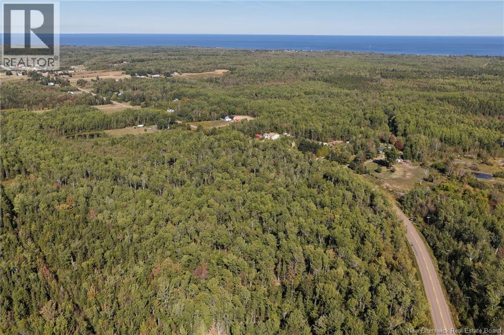 Lot 2 Route 530, Grande-Digue, New Brunswick  E4R 5P8 - Photo 8 - NB126825