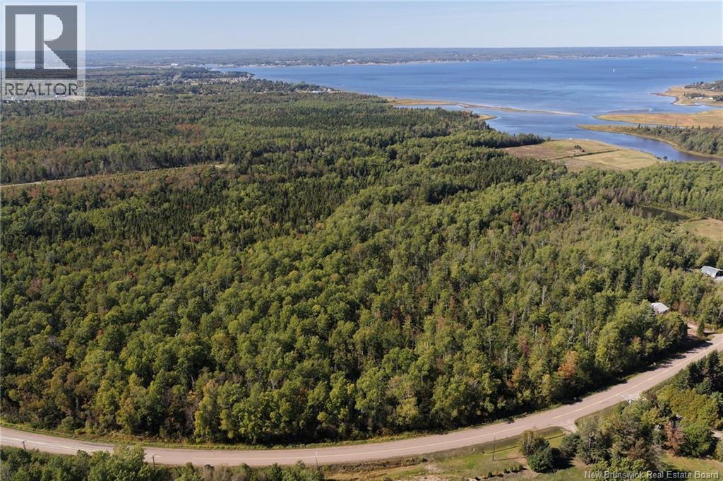 Lot 1 Route 530, Grande-Digue, New Brunswick  E4R 5P8 - Photo 4 - NB126817