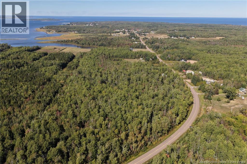 Lot 1 Route 530, Grande-Digue, New Brunswick  E4R 5P8 - Photo 7 - NB126817