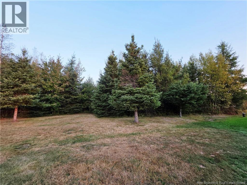 8 Fawcett Avenue, Petitcodiac, New Brunswick  E4Z 4H4 - Photo 27 - NB126877