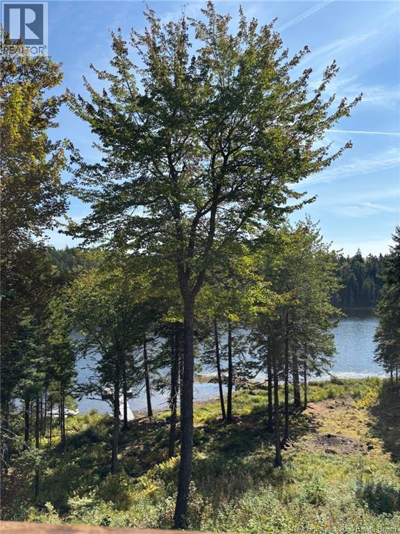 Camp Brittain Road, Public Landing, New Brunswick  E5K 4K2 - Photo 2 - NB126935