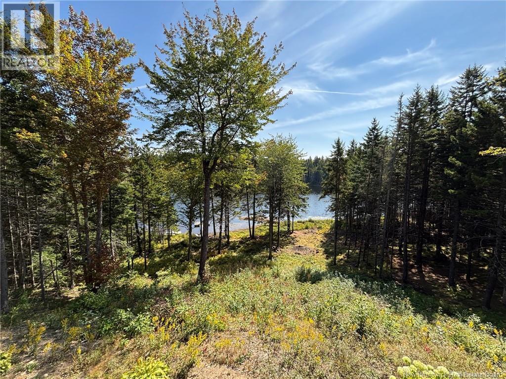 Camp Brittain Road, Public Landing, New Brunswick  E5K 4K2 - Photo 23 - NB126935