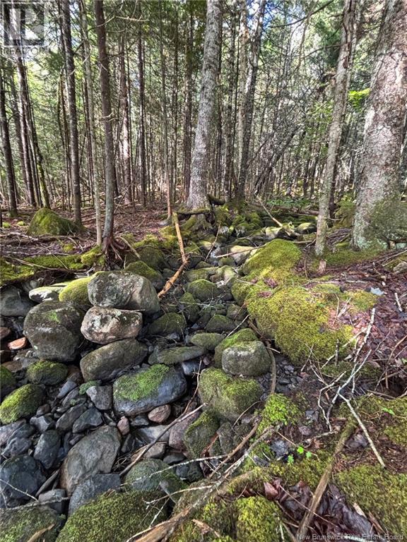 Camp Brittain Road, Public Landing, New Brunswick  E5K 4K2 - Photo 26 - NB126935