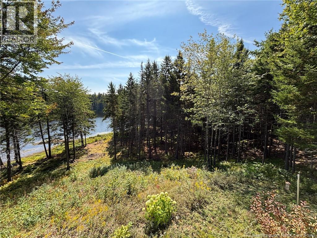 Camp Brittain Road, Public Landing, New Brunswick  E5K 4K2 - Photo 3 - NB126935