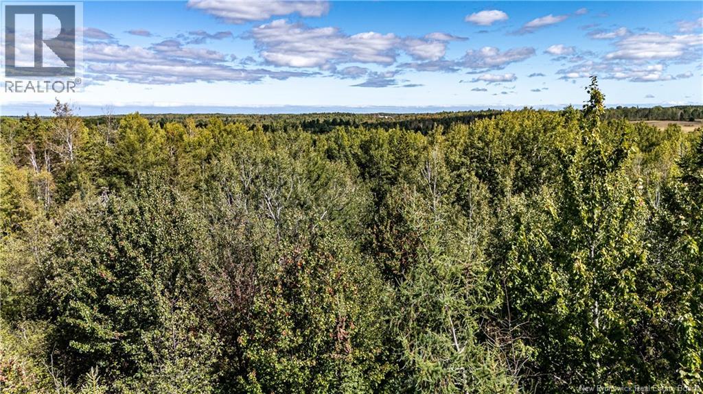 Lot 79-10 De La Traverse, Saint-Paul, New Brunswick  E4T 3M6 - Photo 13 - NB126179